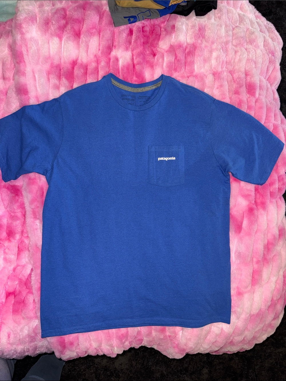 Men’s Patagonia Blue Pocket Tee with Logo
